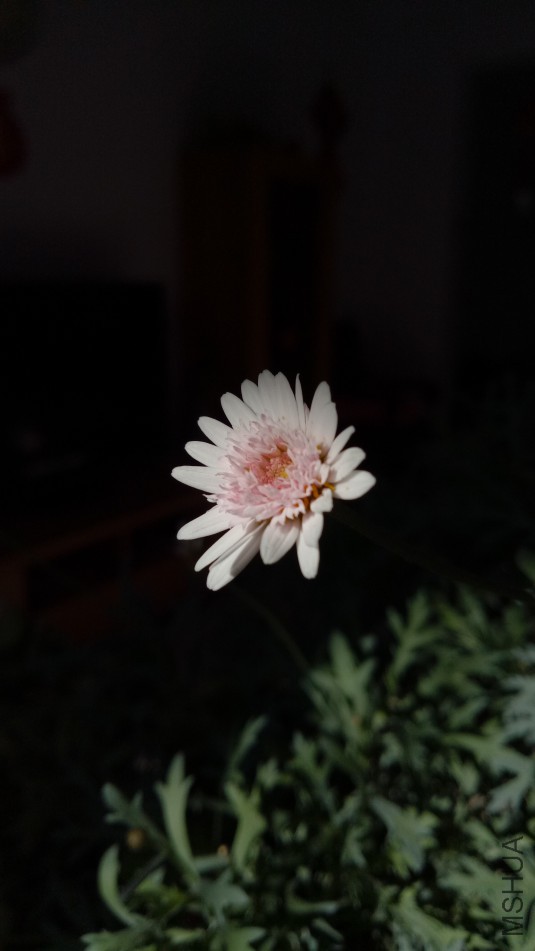 IMG20180110125209.jpg