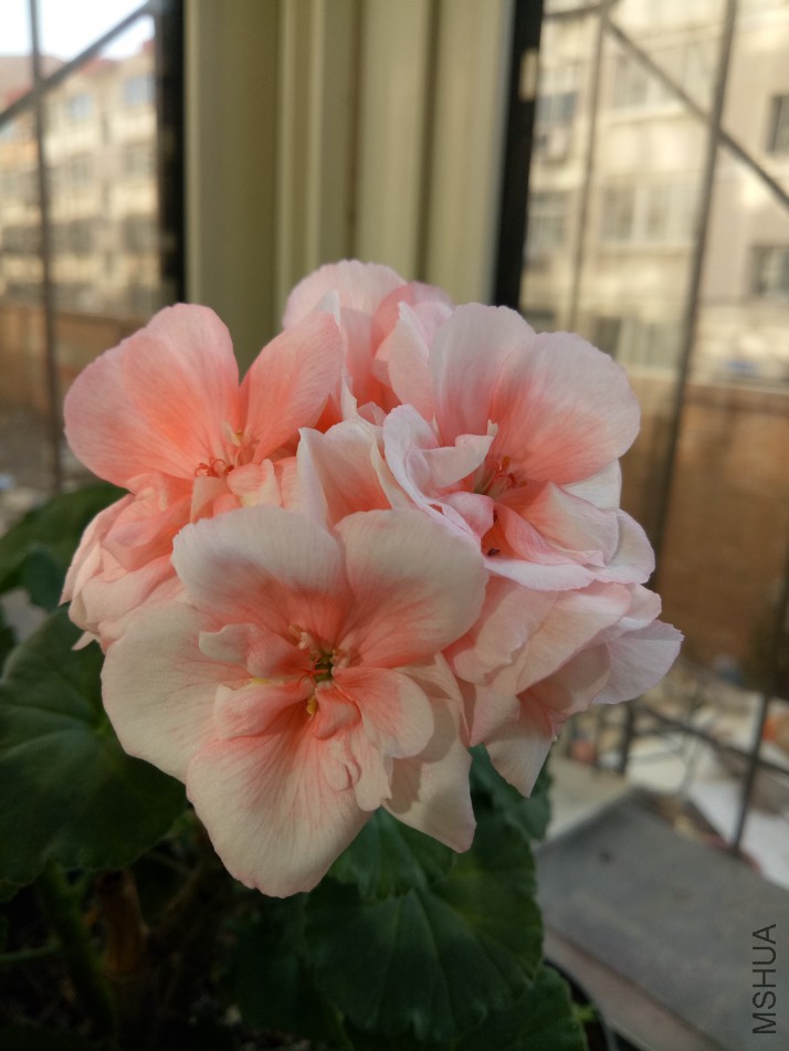 IMG20180112123531.jpg