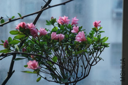 DSC00691_�༭.jpg