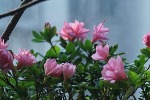 DSC00692_�༭.jpg