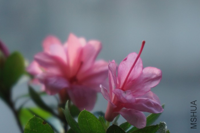 DSC00693_�༭.jpg