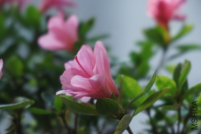 DSC00695_�༭.jpg