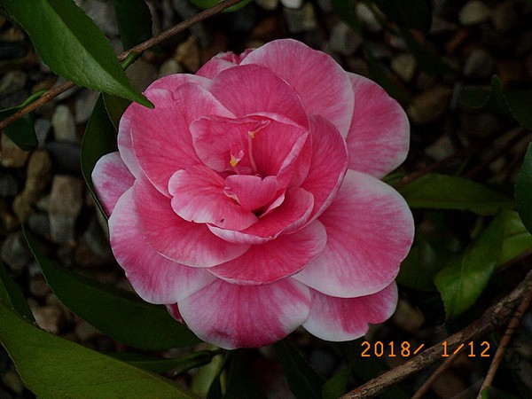 13-17-N3-2.jpg