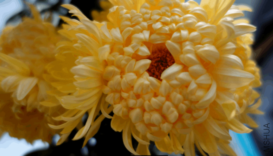 2018-01-17 13_00_57-_DSC0429.JPG - ��Ƭ.png