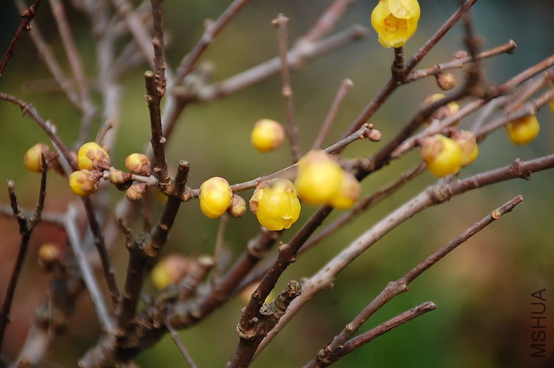 DSC_79550428.JPG