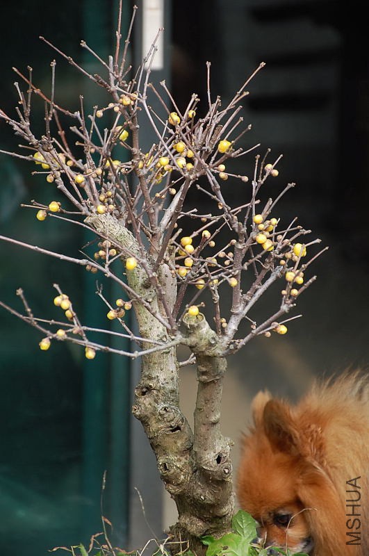 DSC_79690442.JPG