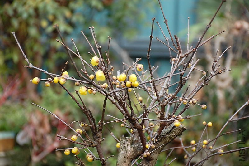 DSC_78190292.JPG