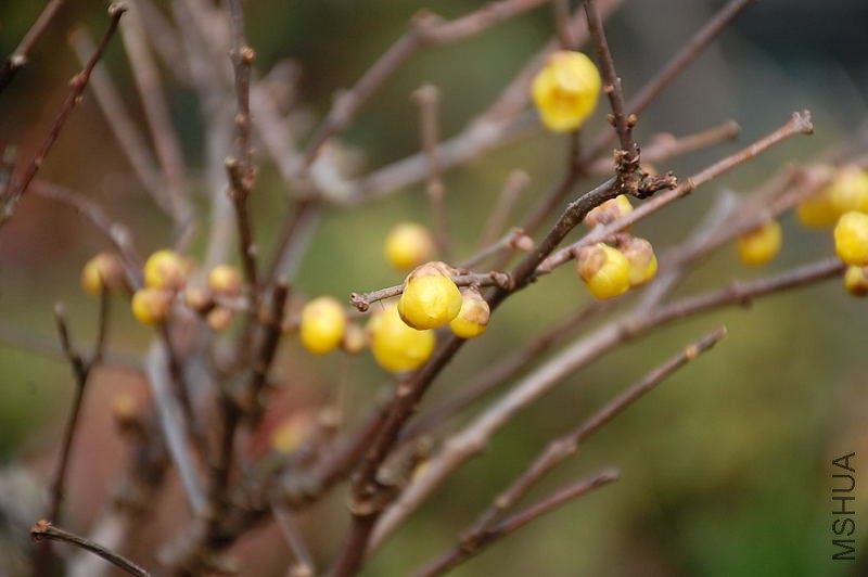 DSC_79610434.JPG