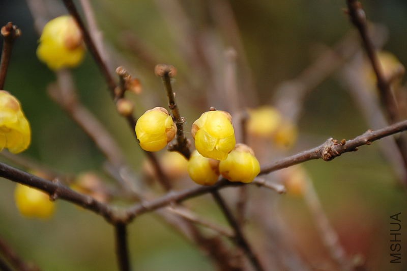 DSC_79480421.JPG