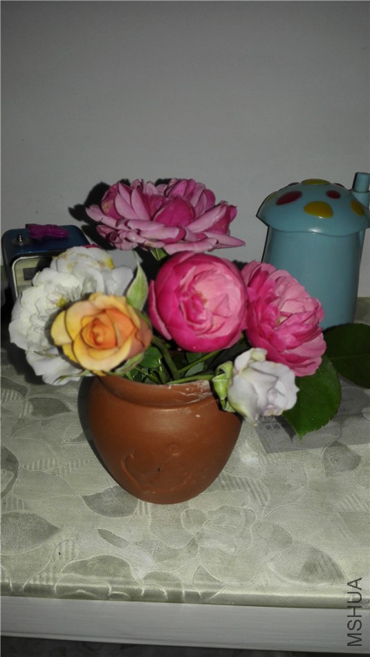 IMG_20160522_171930.jpg