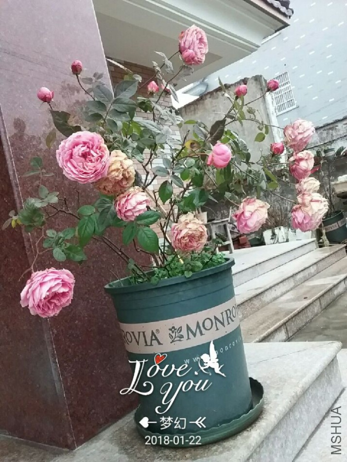QQͼƬ20180122093259.jpg