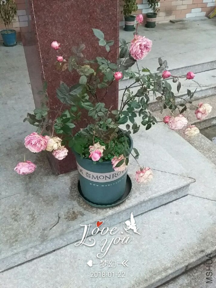 QQͼƬ20180122093318.jpg