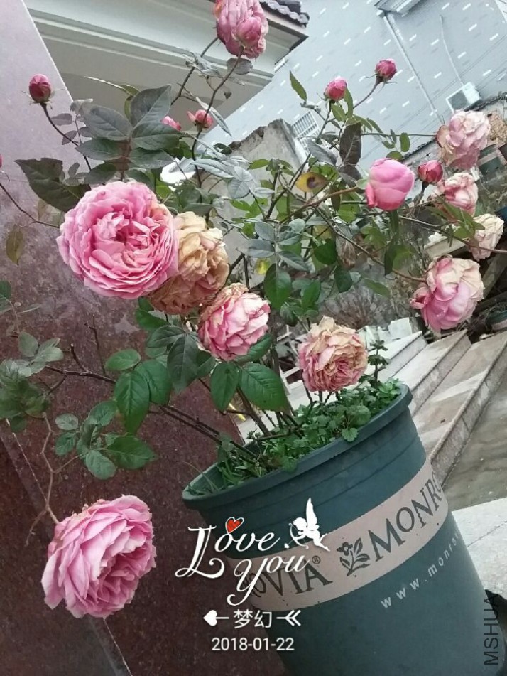 QQͼƬ20180122093314.jpg