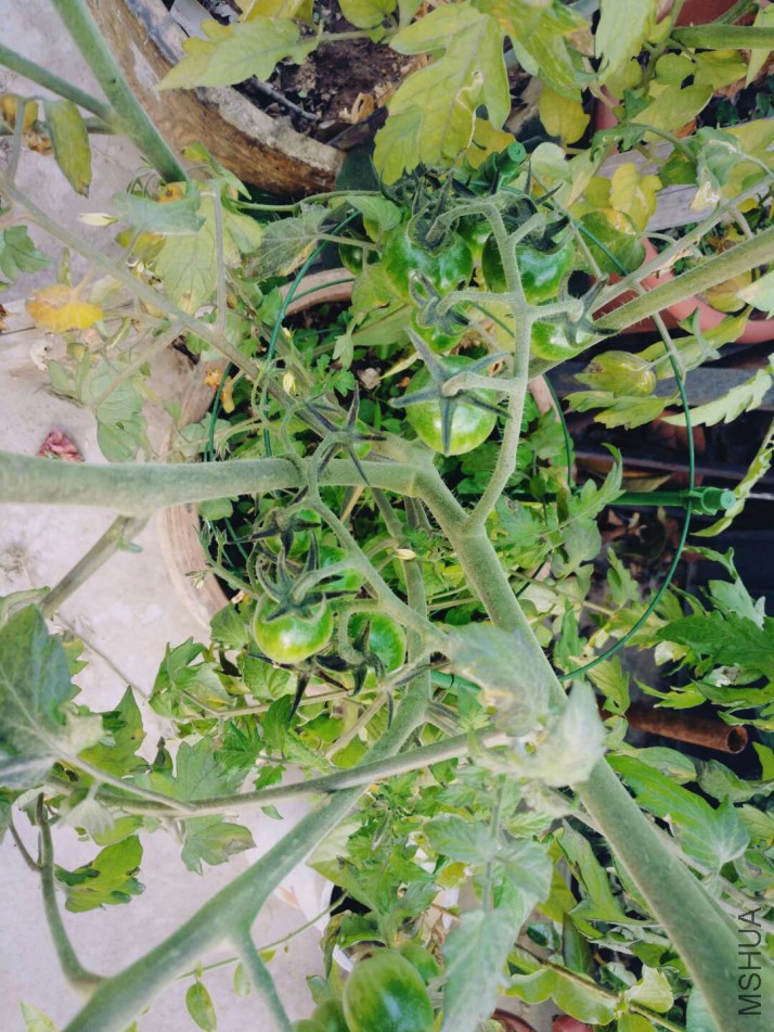 ΢��ͼƬ_20180123085438.jpg