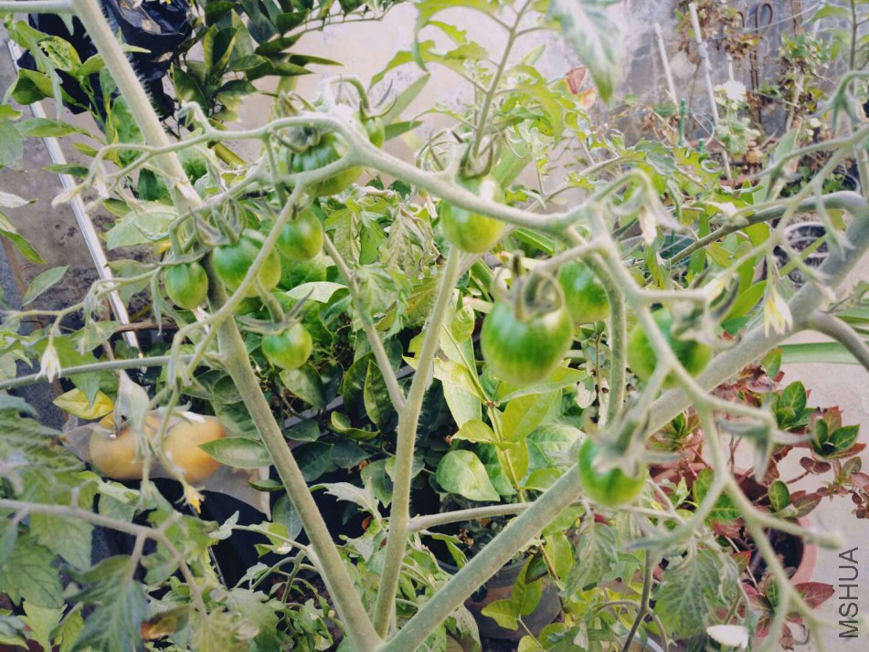 ΢��ͼƬ_20180123085441.jpg