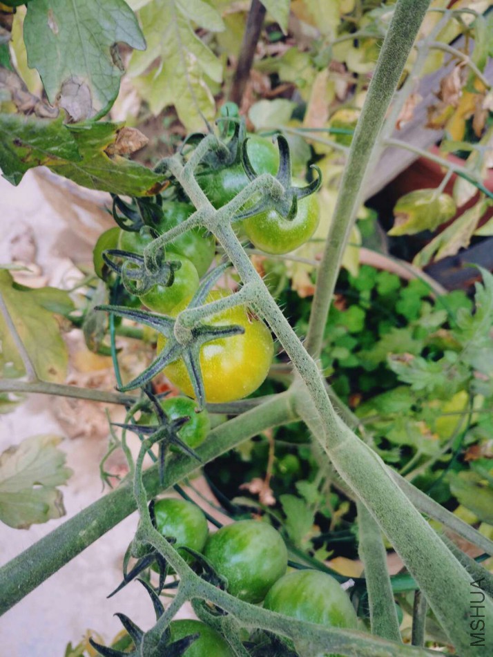 ΢��ͼƬ_20180123085455.jpg