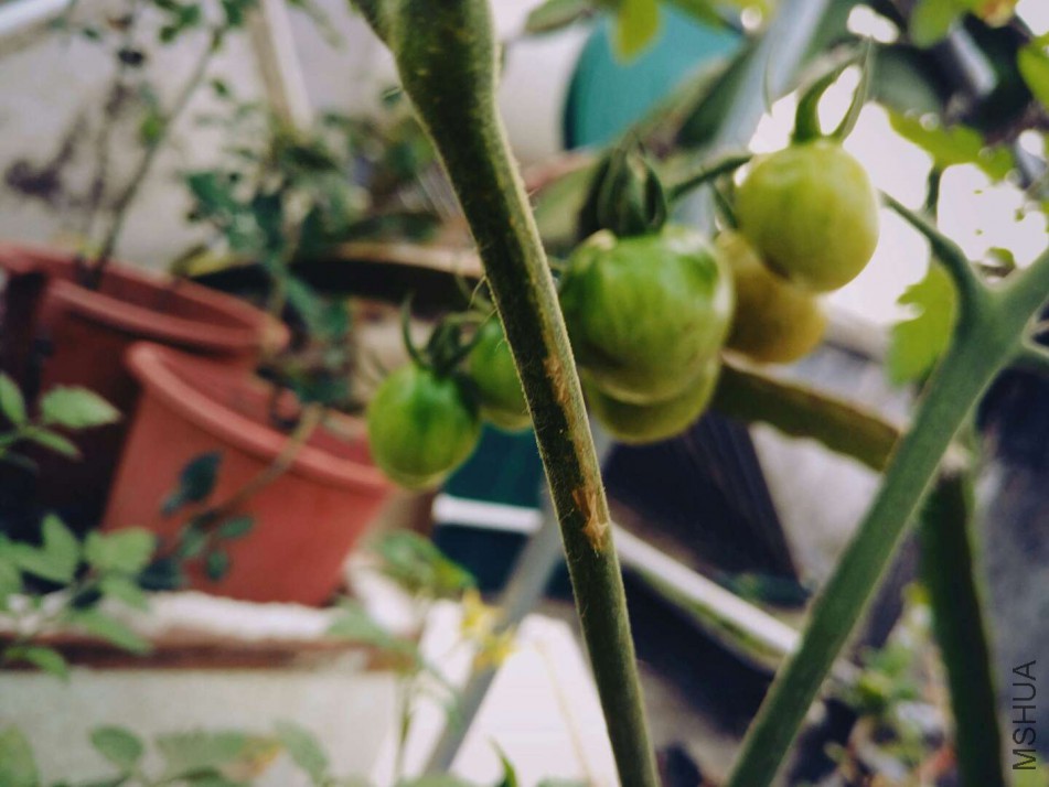 ΢��ͼƬ_20180123085520.jpg
