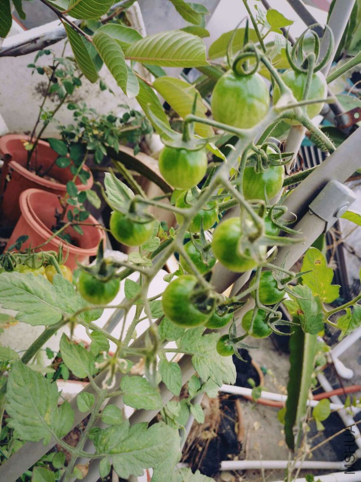΢��ͼƬ_20180123085523.jpg