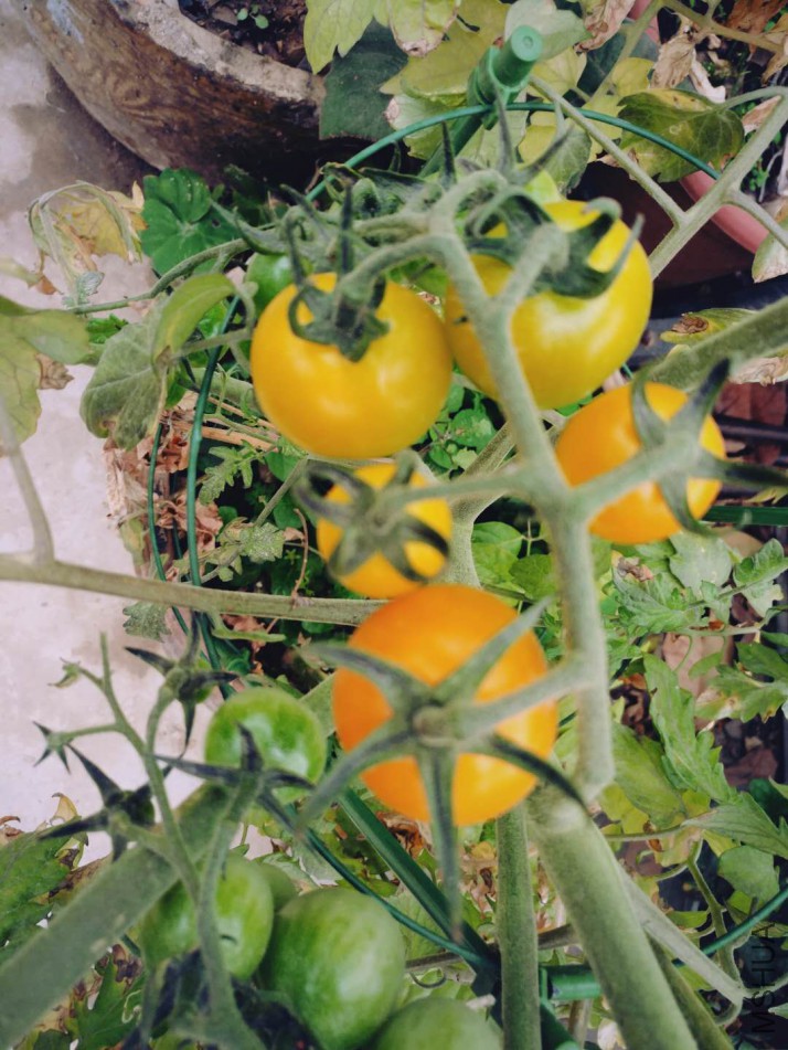 ΢��ͼƬ_20180123085529.jpg