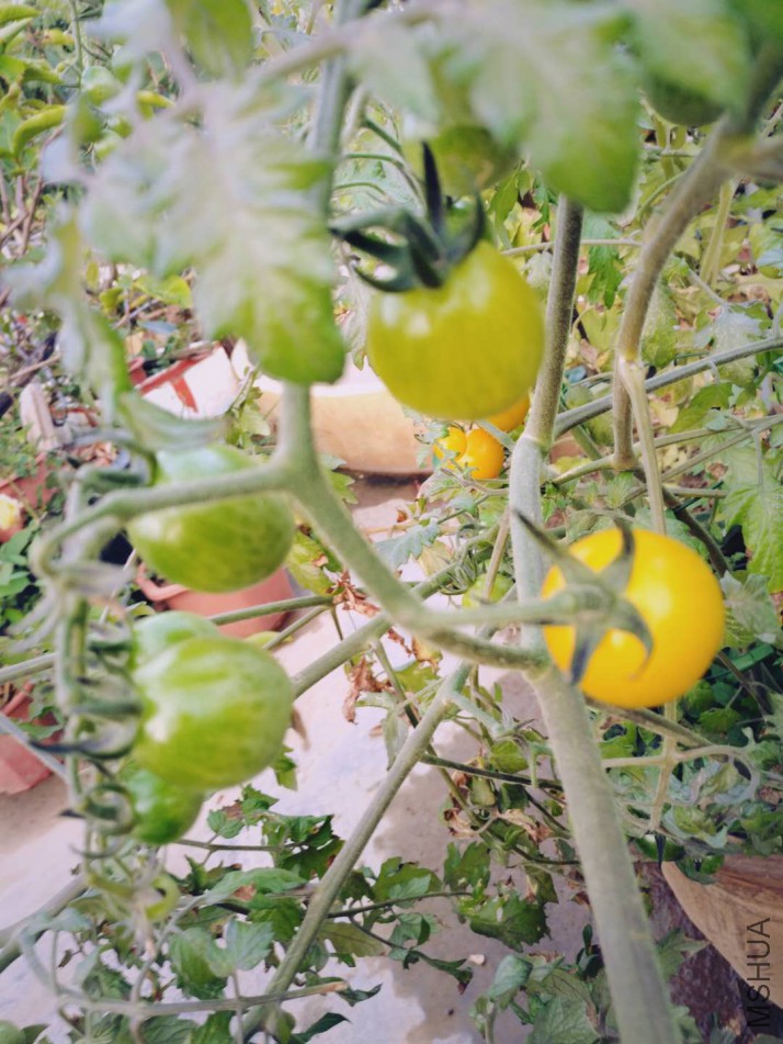 ΢��ͼƬ_20180123085601.jpg