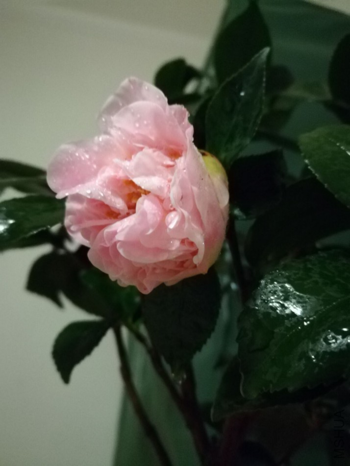 �������ڿ����ˣ�