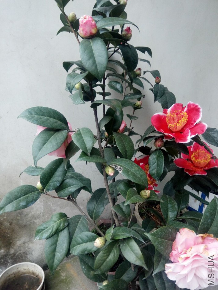 38954c247d432afa.jpg
