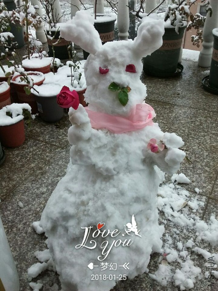 QQͼƬ20180125100636.jpg