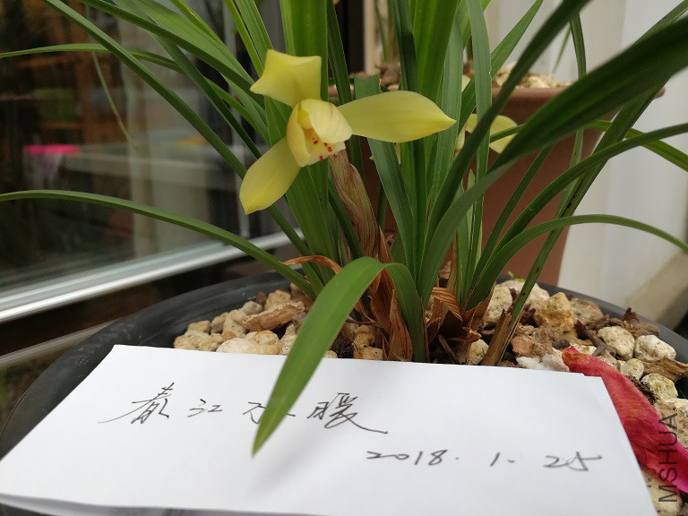 IMG_20180125_084853.jpg