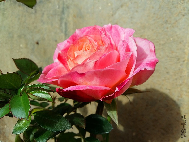 20180112_144011_����.jpg