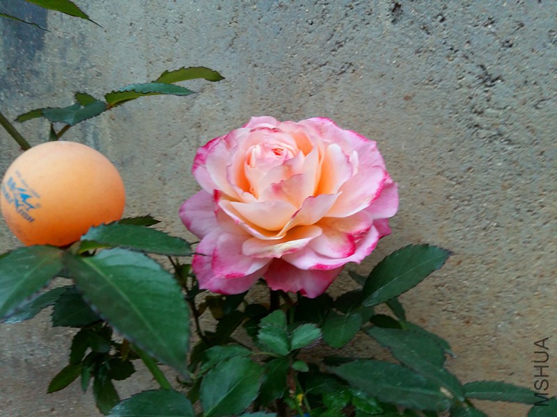 20180116_173914_����.jpg