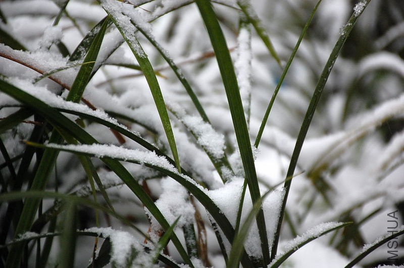 DSC_87040039.JPG