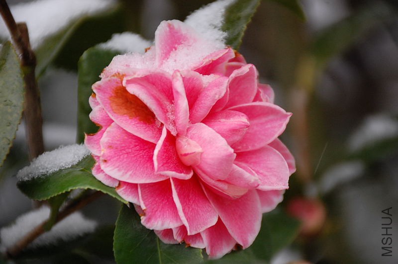 DSC_87130048.JPG
