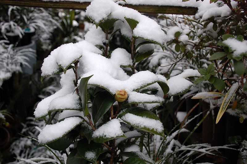 DSC_87250060.JPG