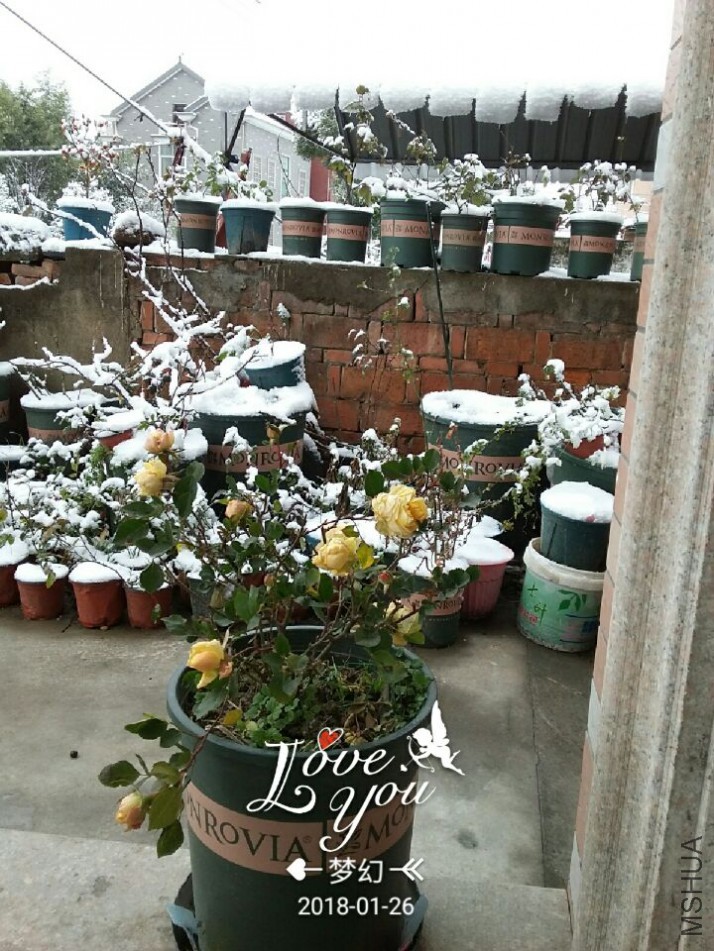QQͼƬ20180126101215.jpg