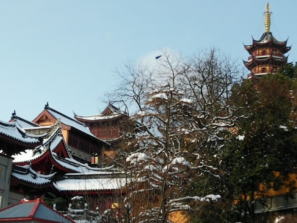 QQͼƬ20180127123409.jpg