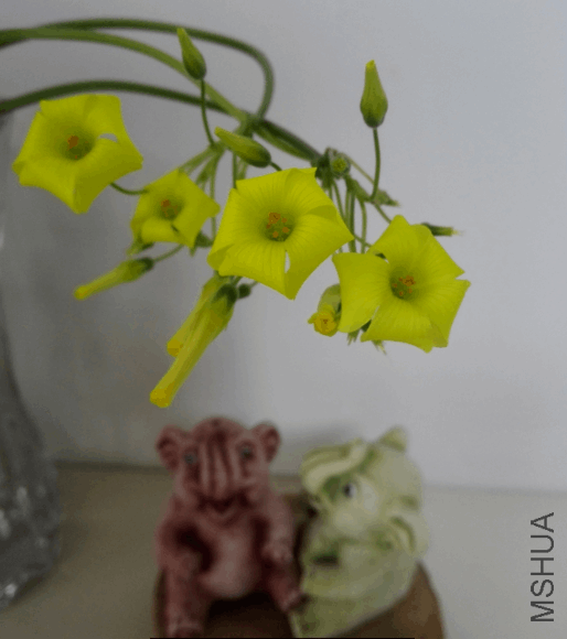 2018-01-28 14_55_51-IMG_20180128_144513.jpg - ��Ƭ.png