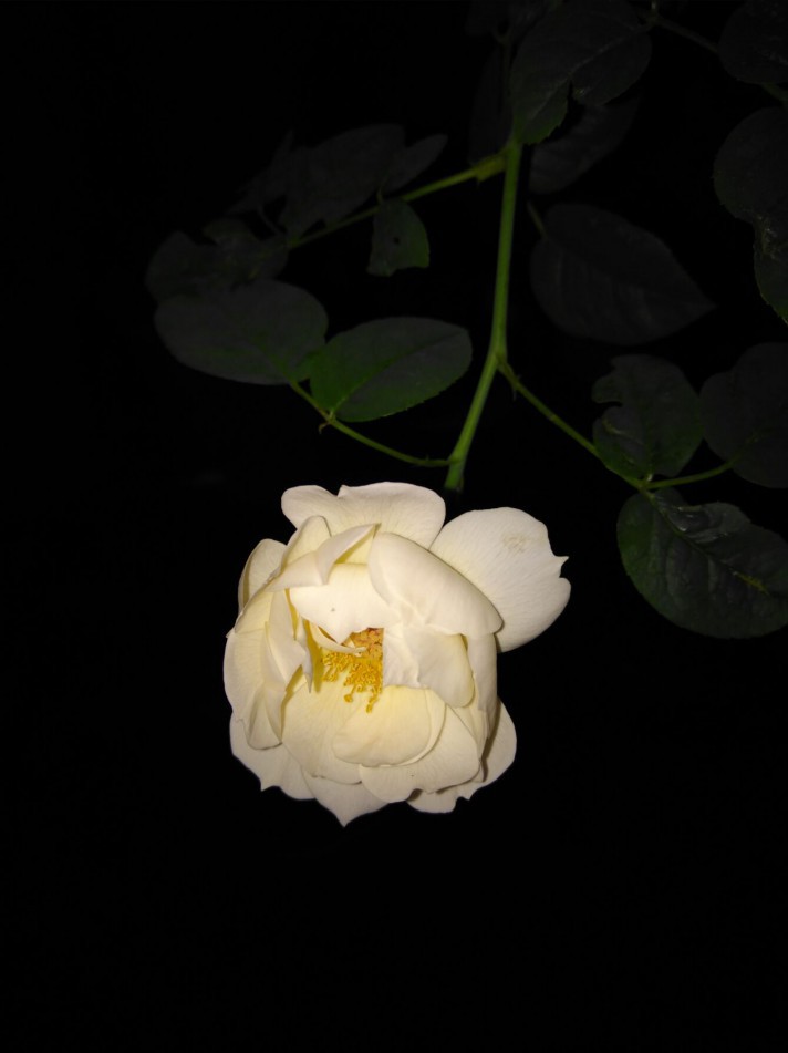 -24fc607274965e7d.jpg