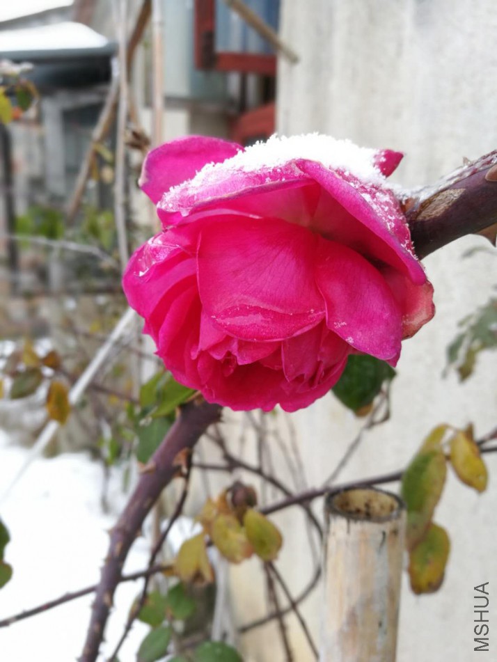 ΢��ͼƬ_20180129082101.jpg