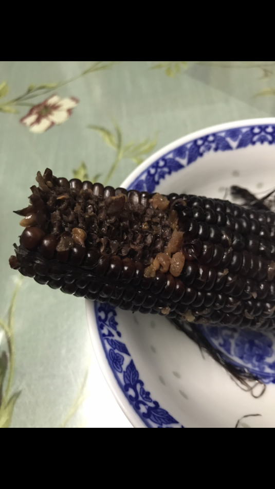 E744118C-237C-4296-8876-AC79E20B7BF0.png