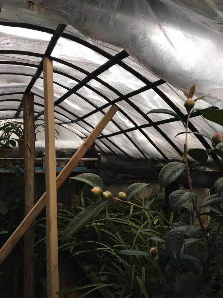 ΢��ͼƬ_20180130064053.jpg