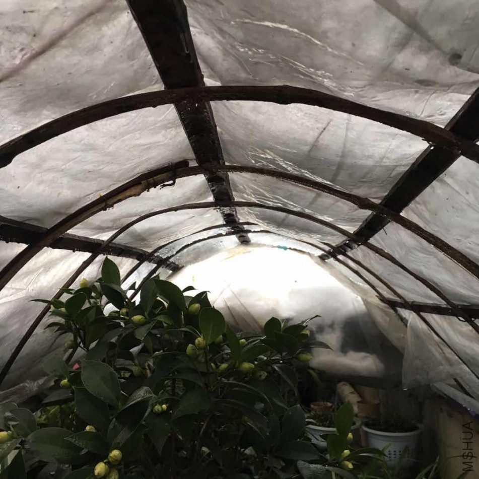 ΢��ͼƬ_20180130064113.jpg
