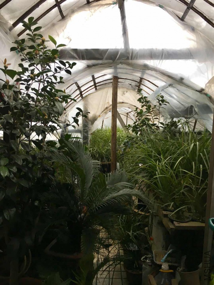 ΢��ͼƬ_20180130064131.jpg