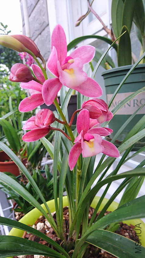 DSC_5880.JPG