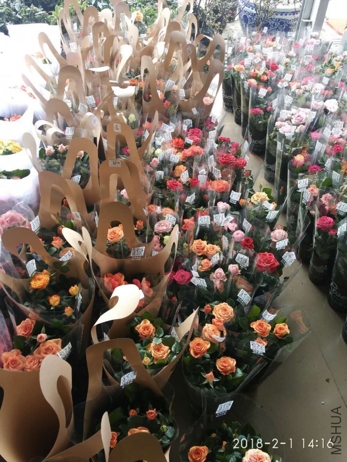 ��������СС������õ��ҲͦƯ����...
