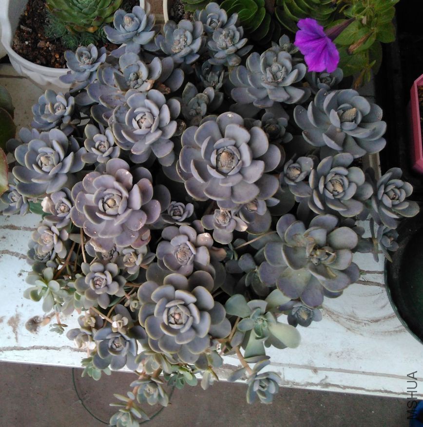 2017��6��27�յ��ӳ�����