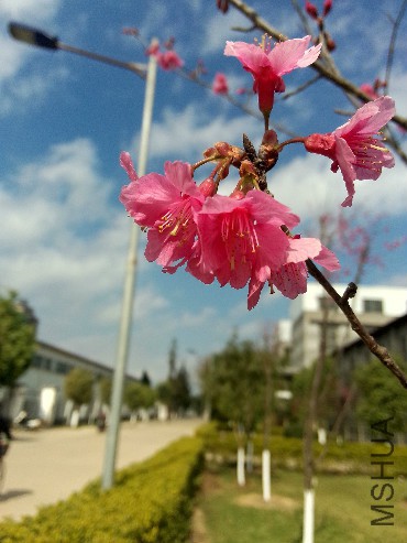 P80201-115010.jpg