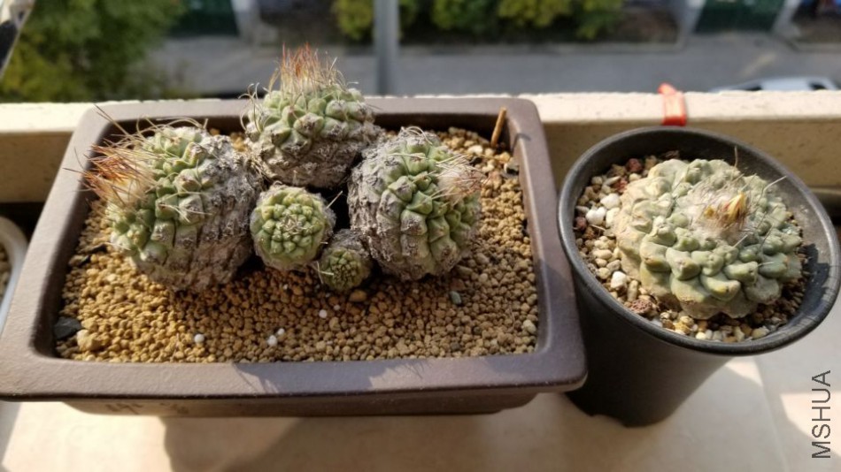 QQͼƬ20180204110643.jpg
