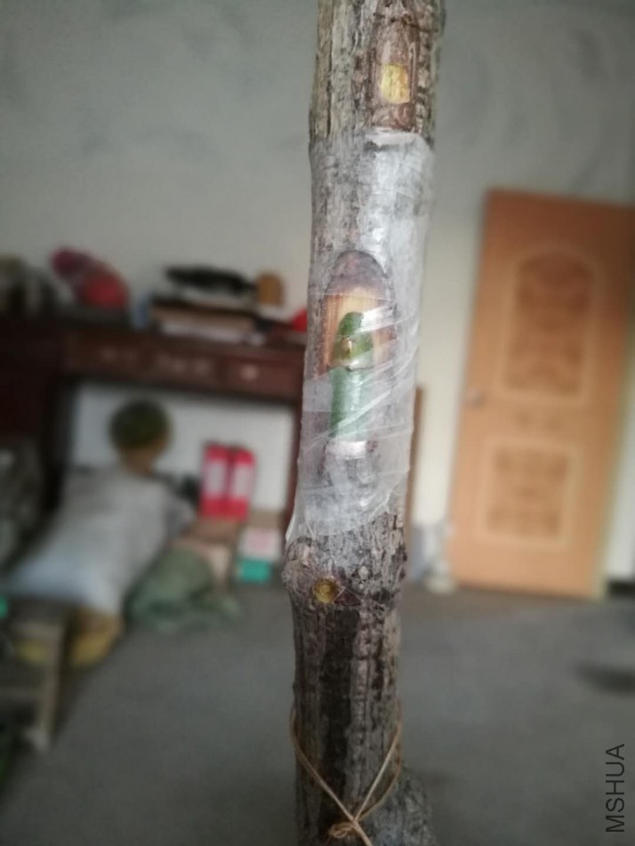 ΢��ͼƬ_20180205082042.jpg