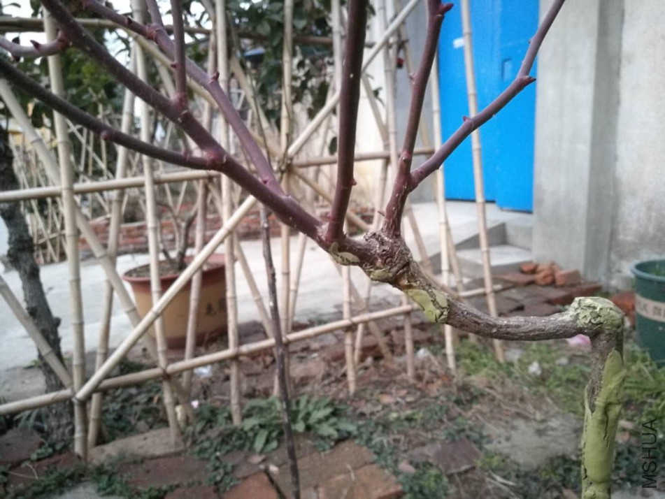 ΢��ͼƬ_20180205082036.jpg