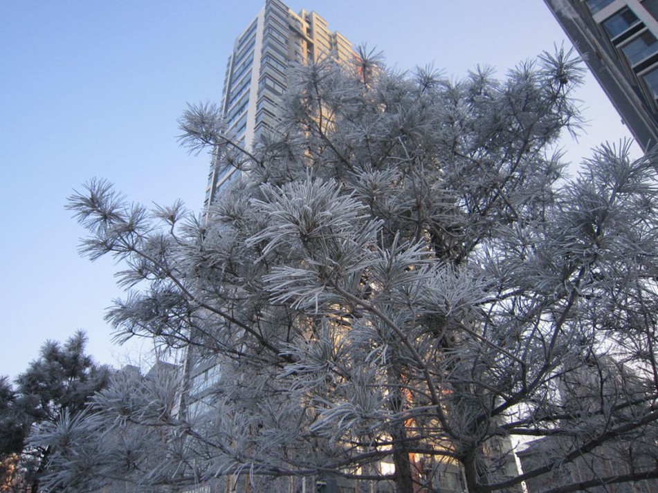 IMG_0004.JPG